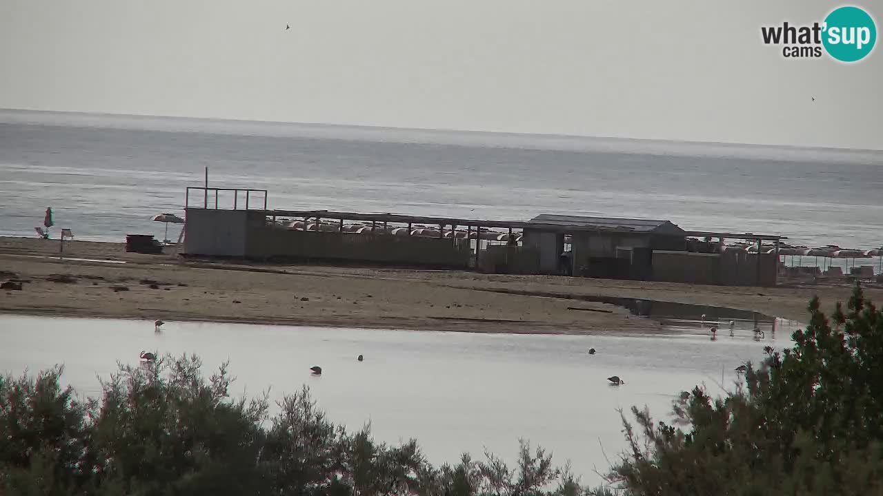 Webcam Chia – Live View of Su Giudeu Beach