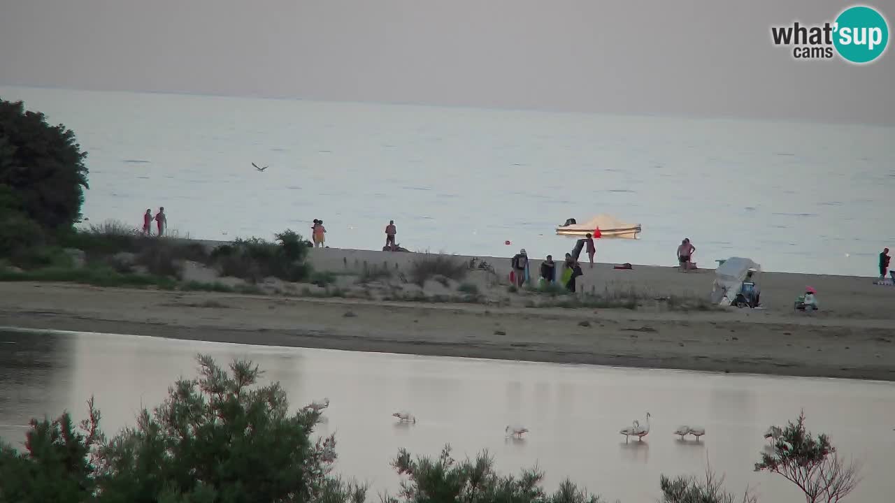 Webcam Chia – Live View of Su Giudeu Beach