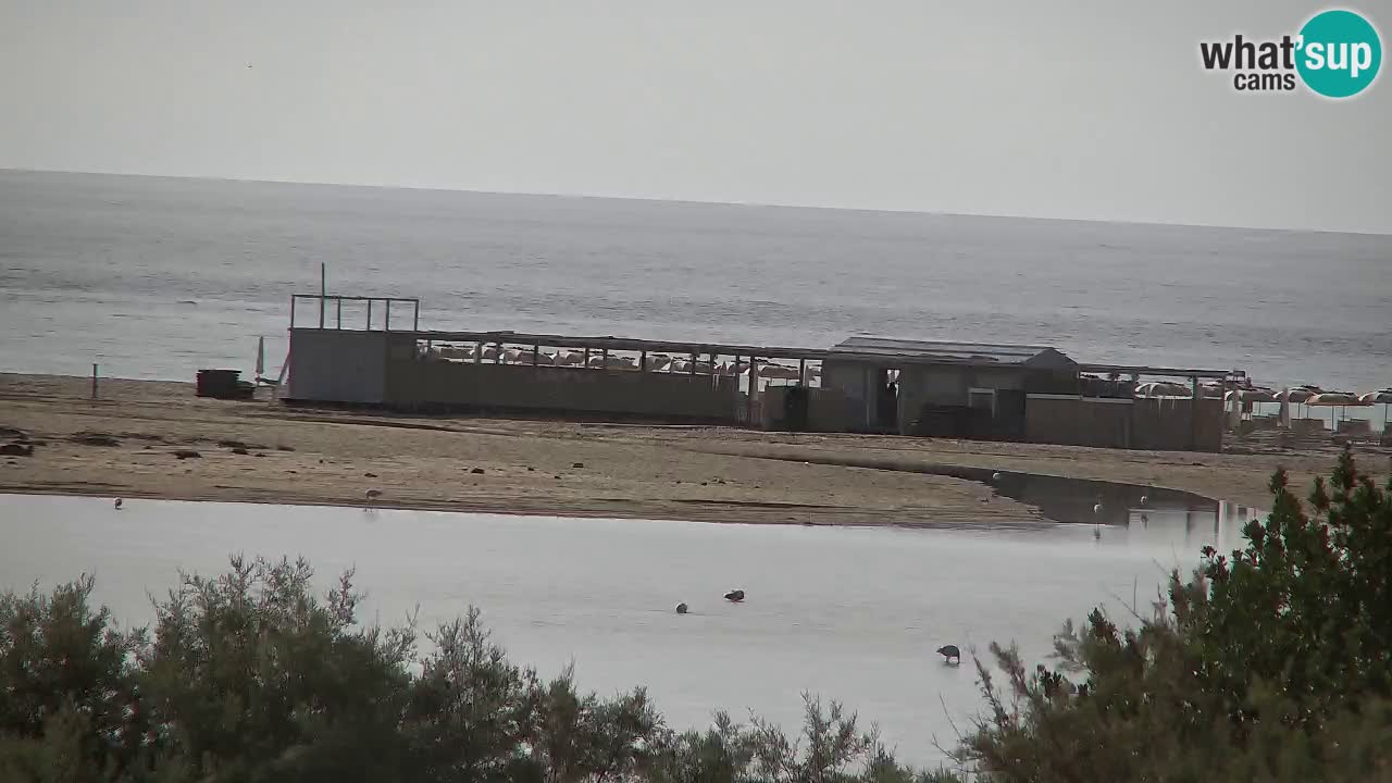 Webcam Chia – Live View of Su Giudeu Beach