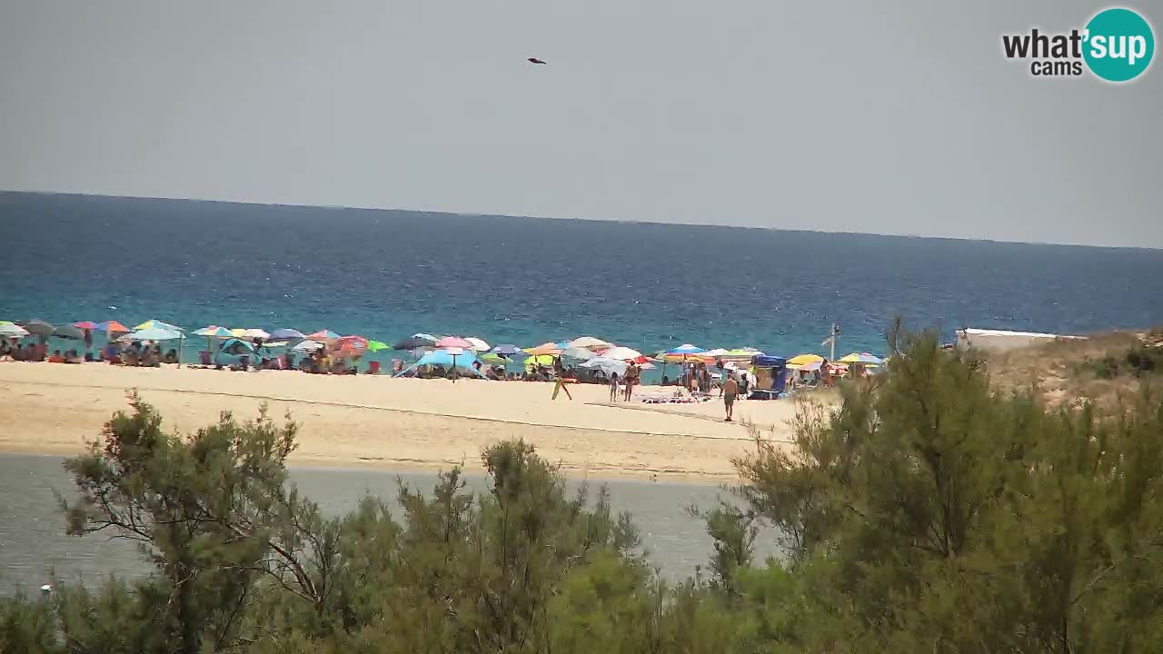 Webcam Chia – Live View of Su Giudeu Beach