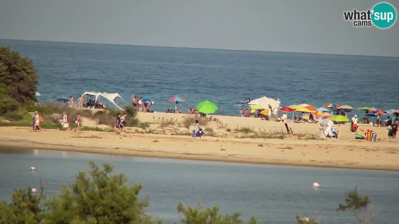 Webcam Chia – Live View of Su Giudeu Beach
