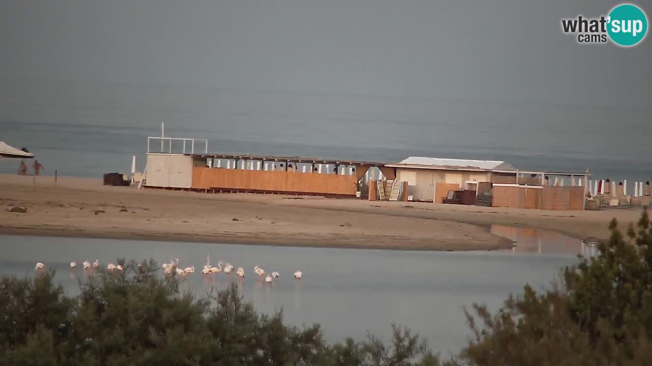 Webcam Chia – Vista en directo de la playa Su Giudeu