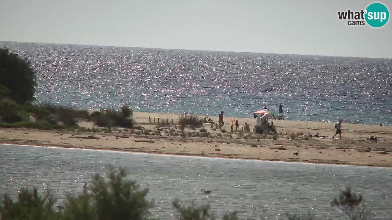Webcam Chia – Vue en direct de la plage Su Giudeu