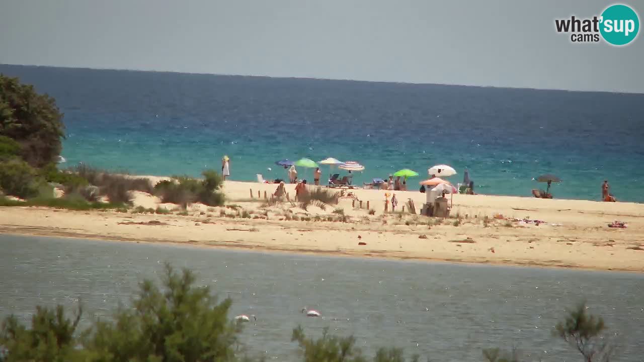 Webcam Chia – Liveblick auf den Strand Su Giudeu