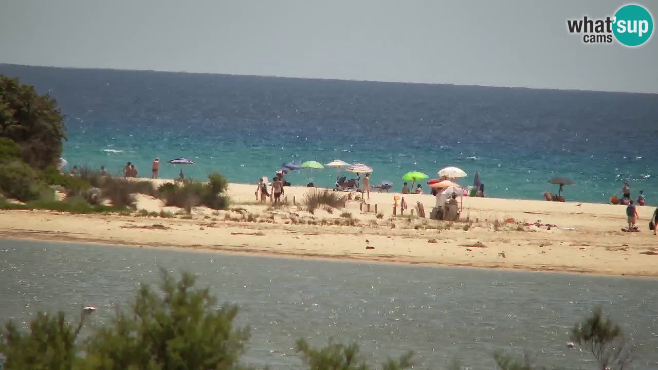 Webcam Chia – Live View of Su Giudeu Beach