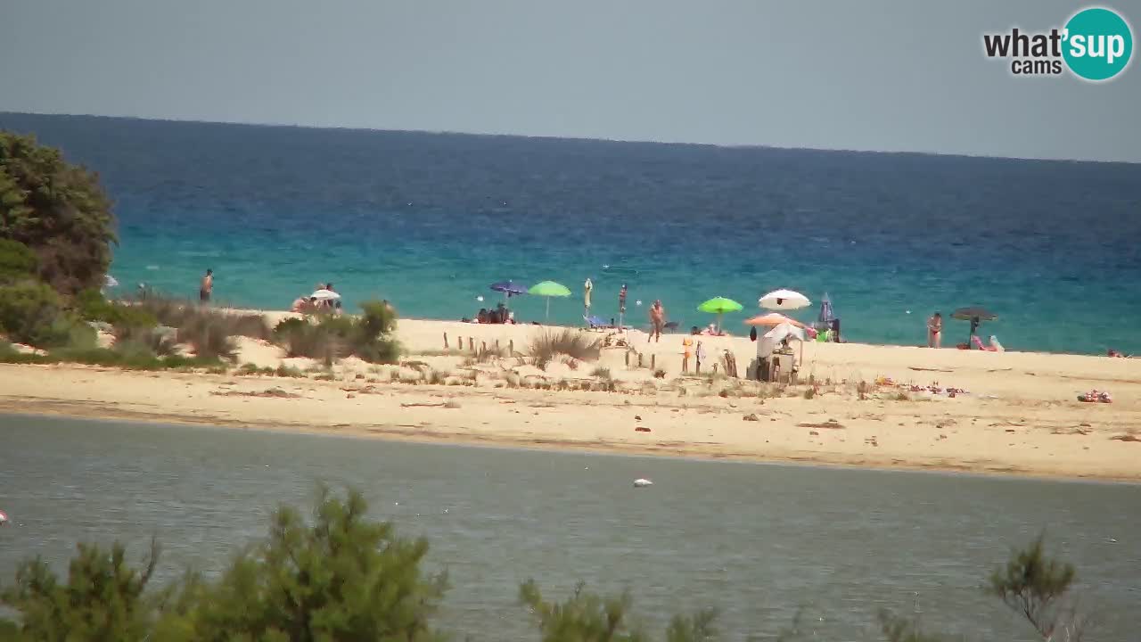 Web kamera Chia – Pogled uživo na plažu Su Giudeu