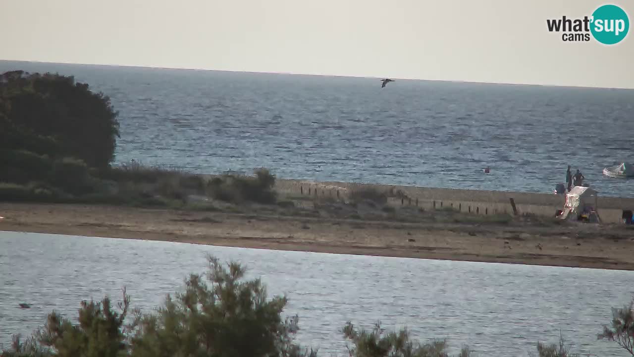 Webcam Chia – Vue en direct de la plage Su Giudeu
