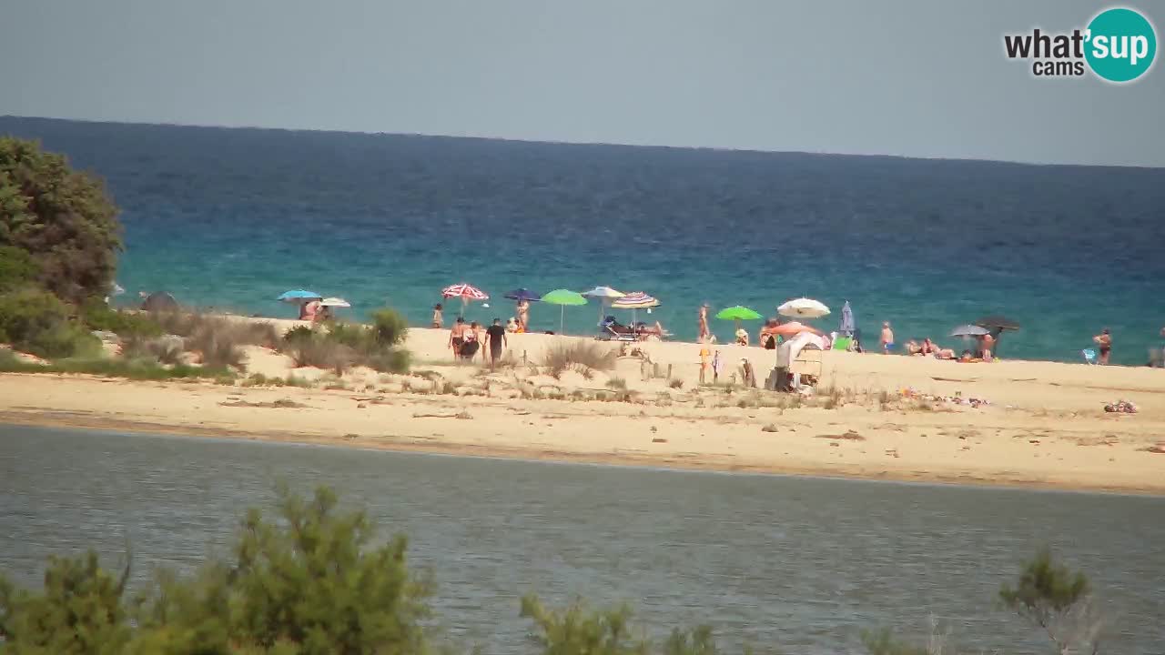 Webcam Chia – Vue en direct de la plage Su Giudeu