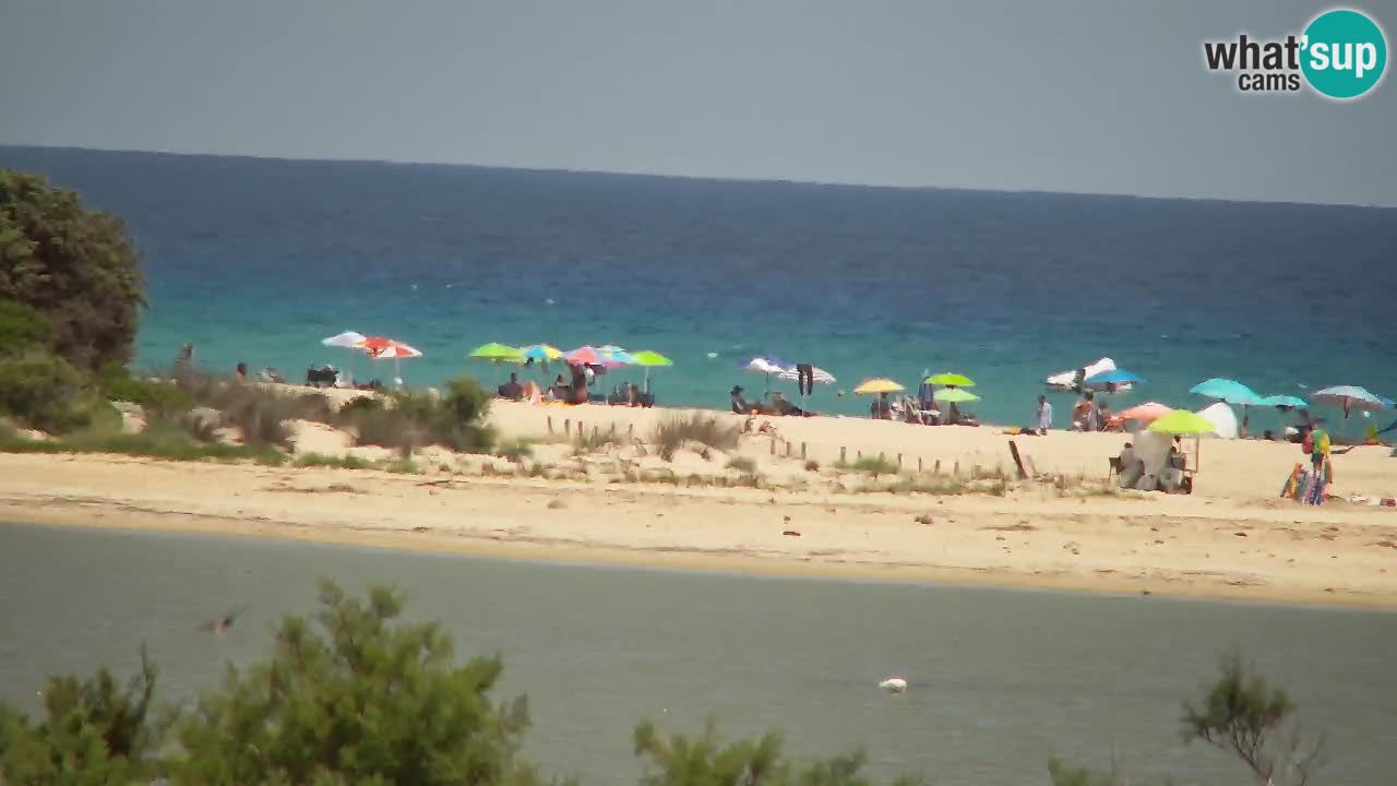 Web kamera Chia – Pogled uživo na plažu Su Giudeu