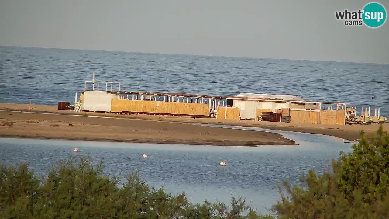 Webcam Chia – Live View of Su Giudeu Beach