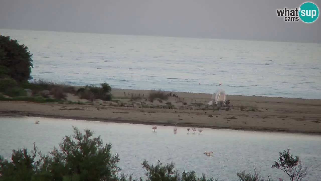 Webcam Chia – Vista en directo de la playa Su Giudeu