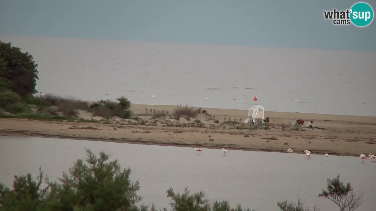 Webcam Chia – Live View of Su Giudeu Beach