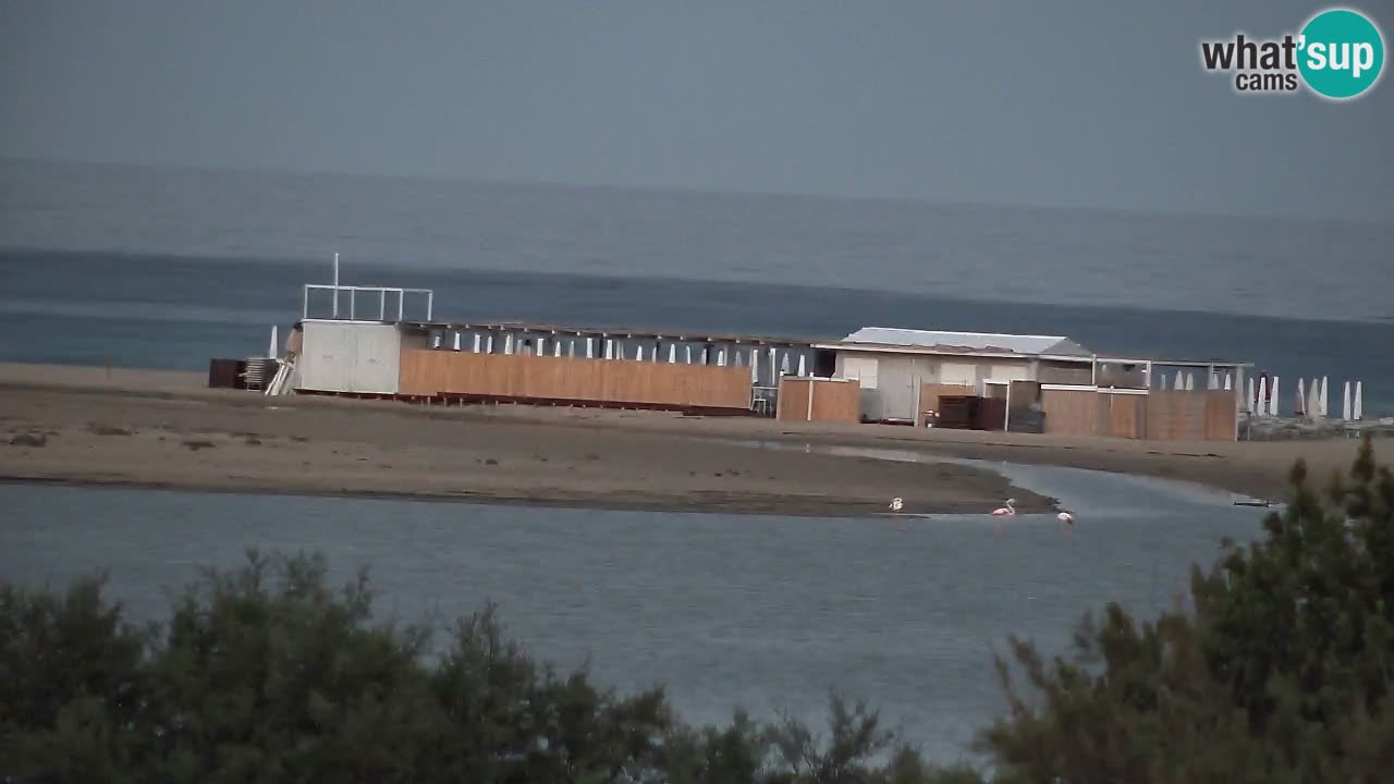 Webcam Chia – Vue en direct de la plage Su Giudeu