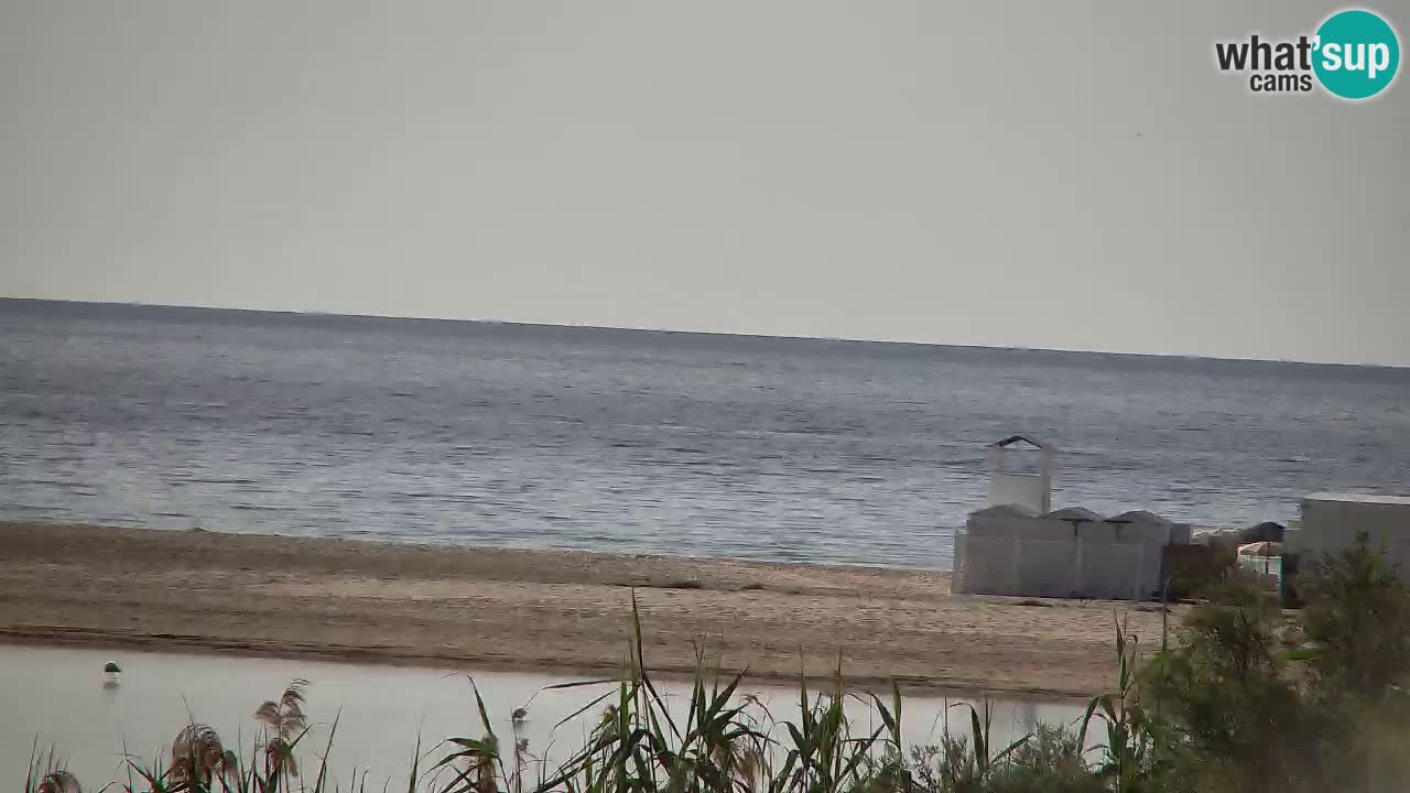 Webcam Chia – Live View of Su Giudeu Beach