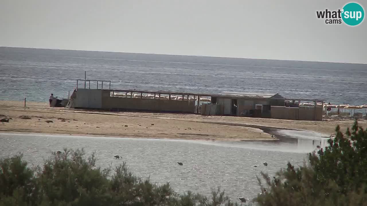 Webcam Chia – Vue en direct de la plage Su Giudeu