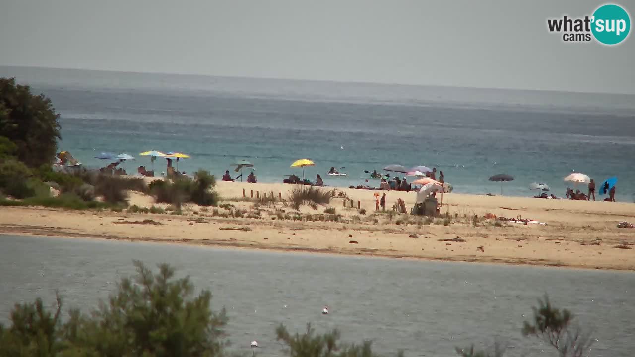 Webcam Chia – Vista en directo de la playa Su Giudeu