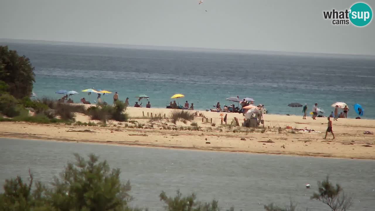 Webcam Chia – Live View of Su Giudeu Beach
