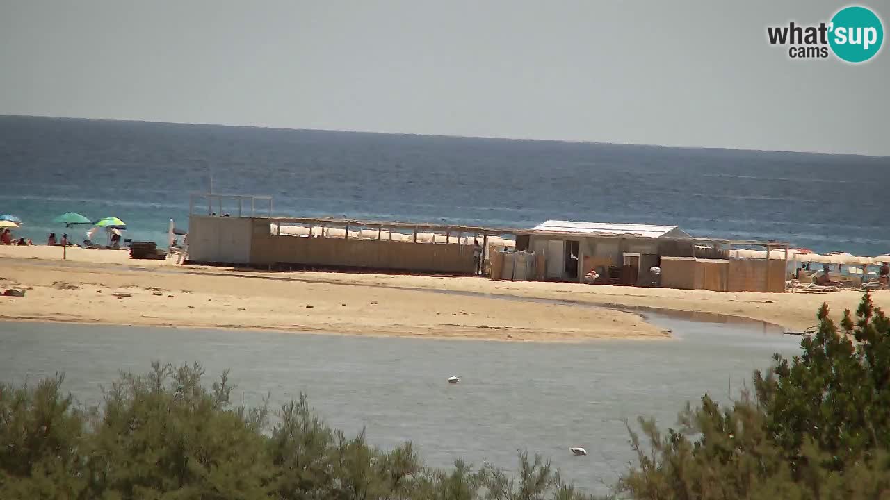 Webcam Chia – Live View of Su Giudeu Beach