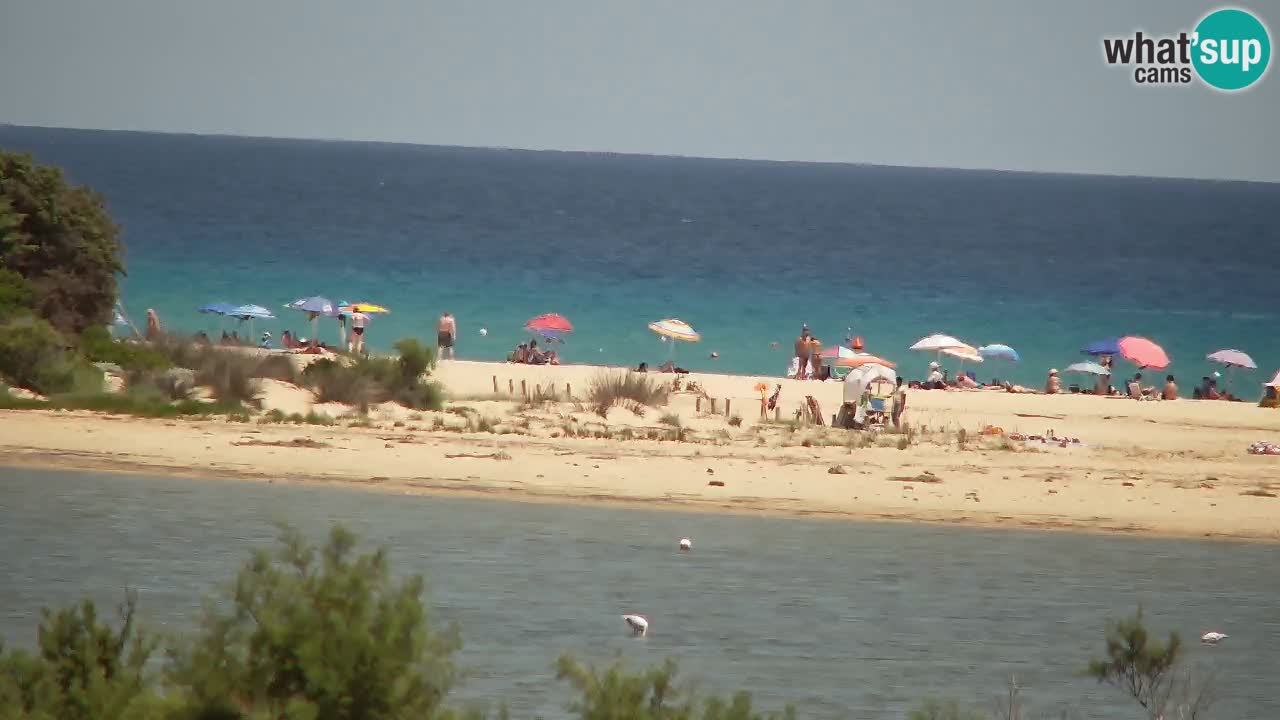 Webcam Chia – Liveblick auf den Strand Su Giudeu