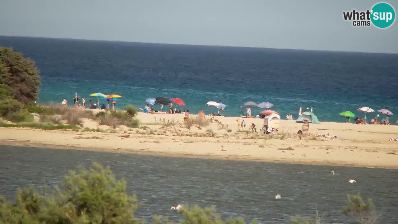 Webcam Chia – Live View of Su Giudeu Beach