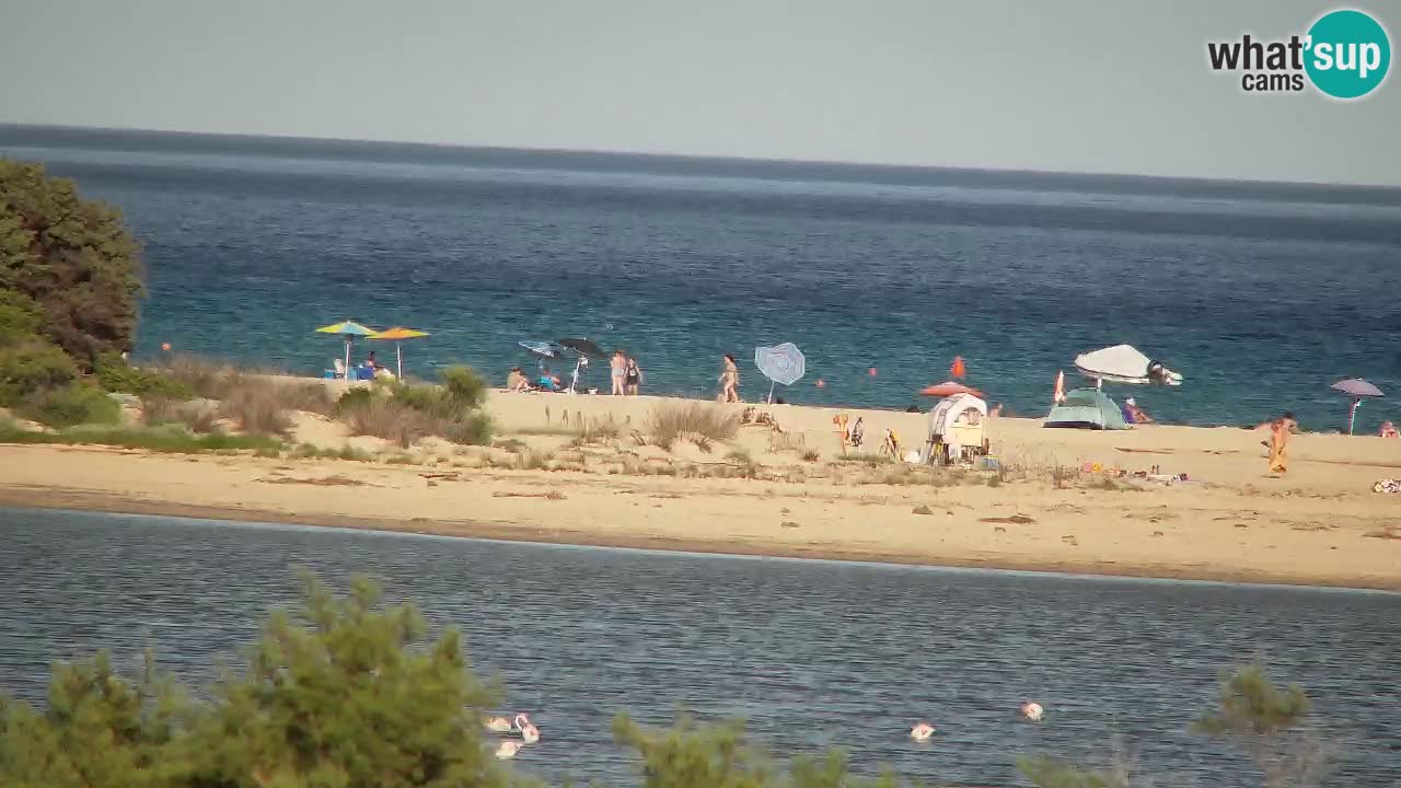 Webcam Chia – Live View of Su Giudeu Beach
