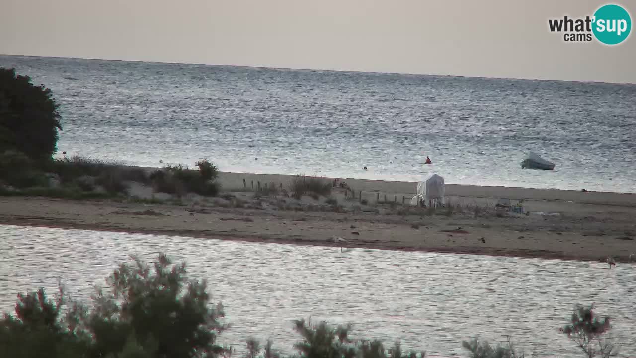 Webcam Chia – Live View of Su Giudeu Beach