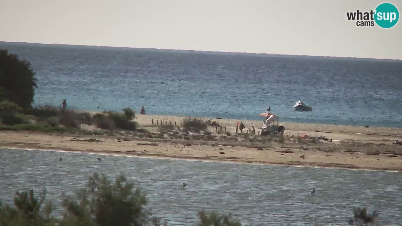 Webcam Chia – Live View of Su Giudeu Beach