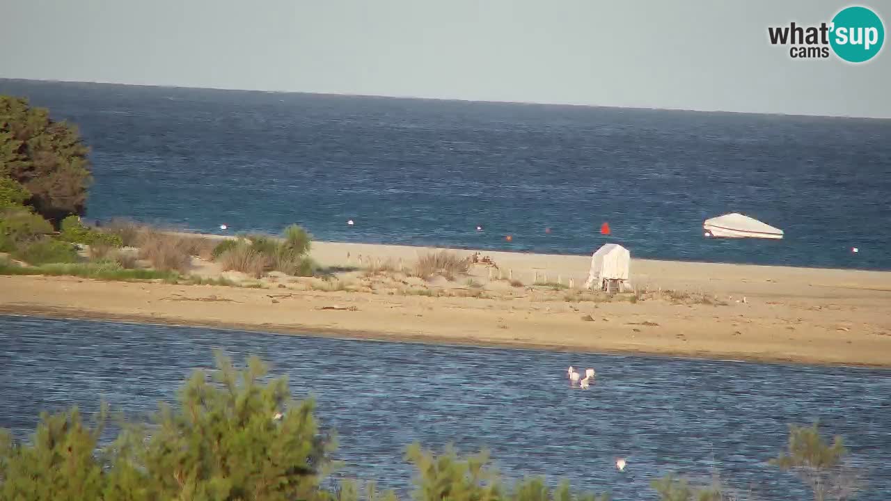 Webcam Chia – Liveblick auf den Strand Su Giudeu