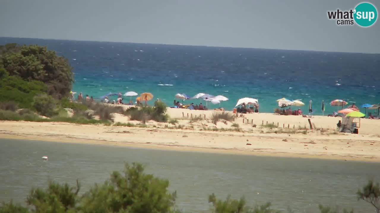 Webcam Chia – Live View of Su Giudeu Beach