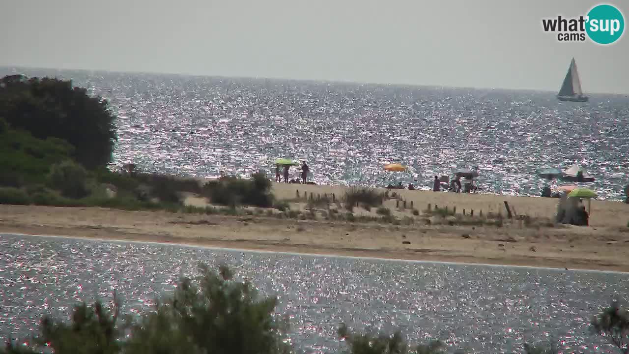 Webcam Chia – Live View of Su Giudeu Beach