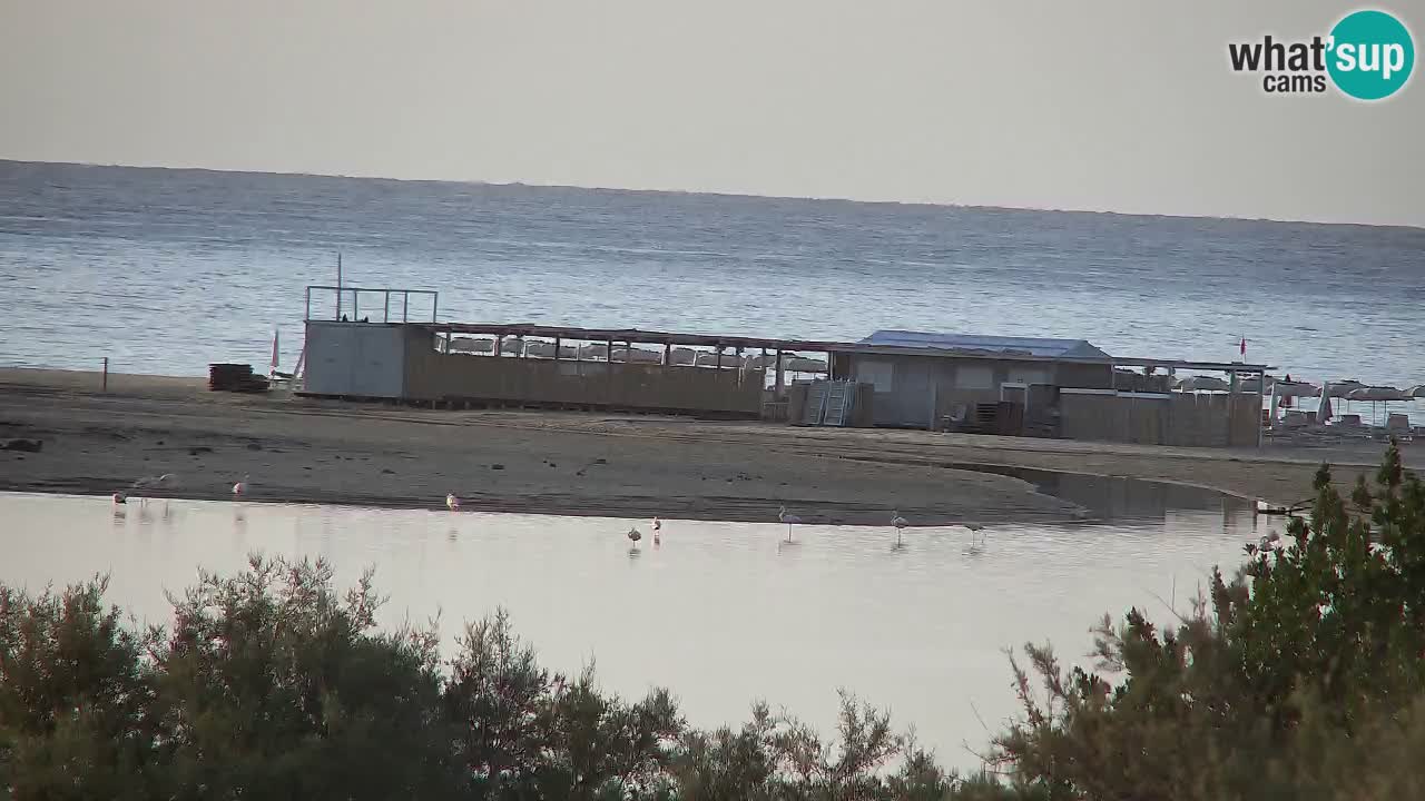 Webcam Chia – Live View of Su Giudeu Beach