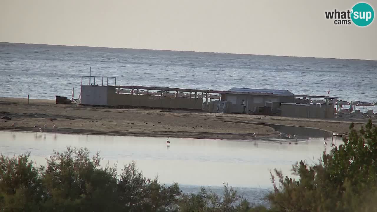Webcam Chia – Live View of Su Giudeu Beach