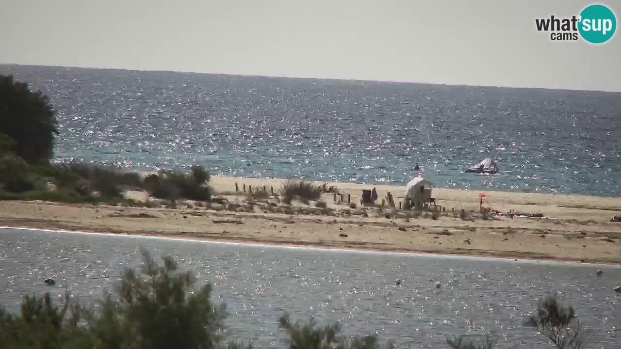 Webcam Chia – Vue en direct de la plage Su Giudeu