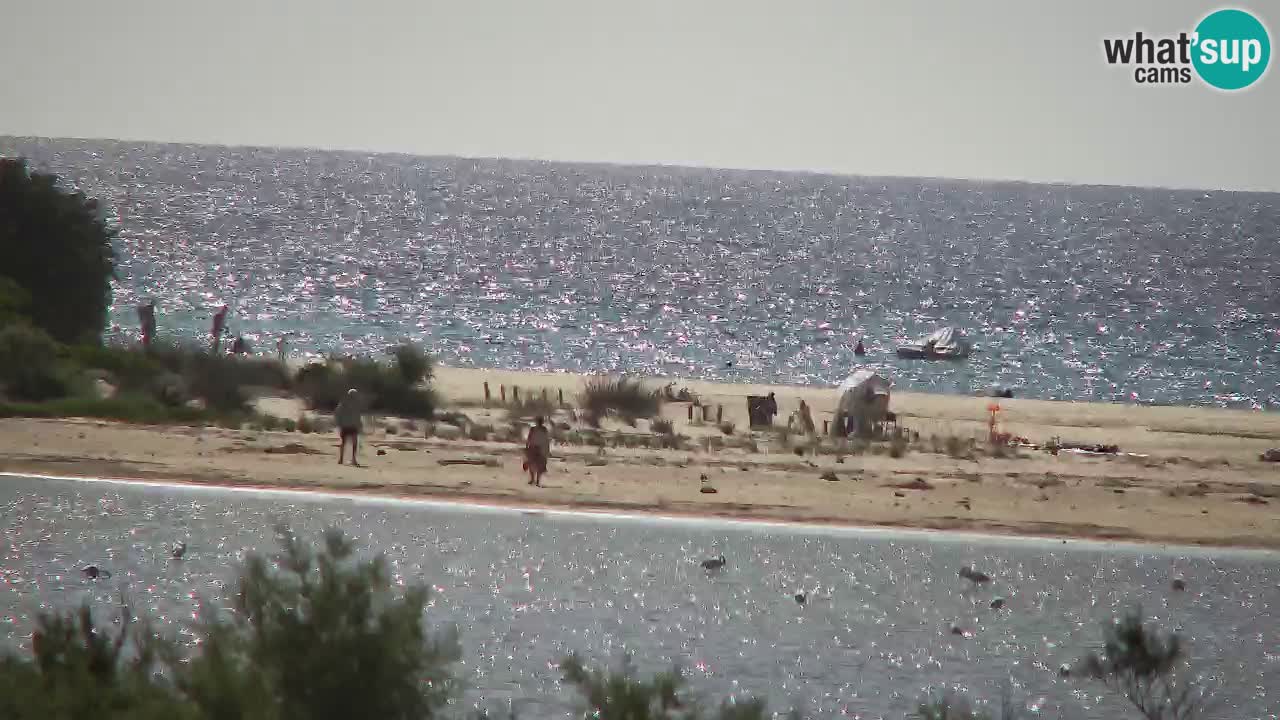 Webcam Chia – Live View of Su Giudeu Beach