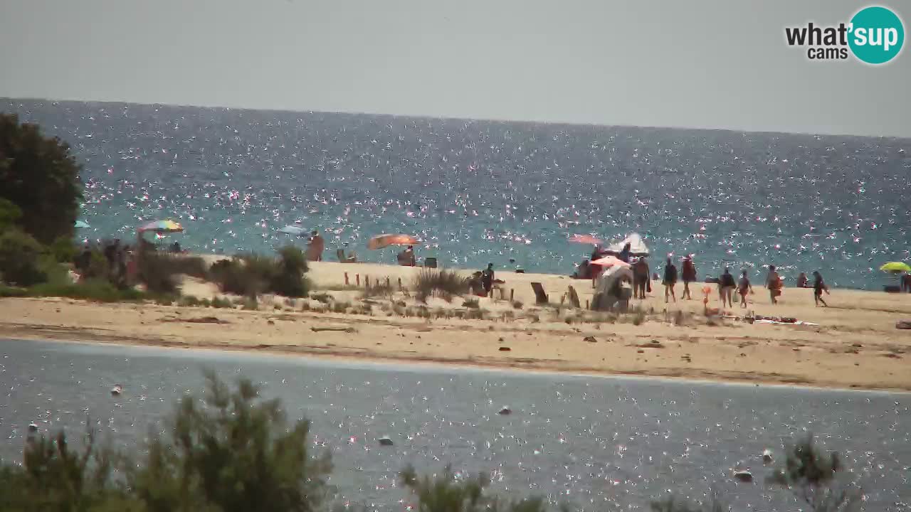 Webcam Chia – Vue en direct de la plage Su Giudeu