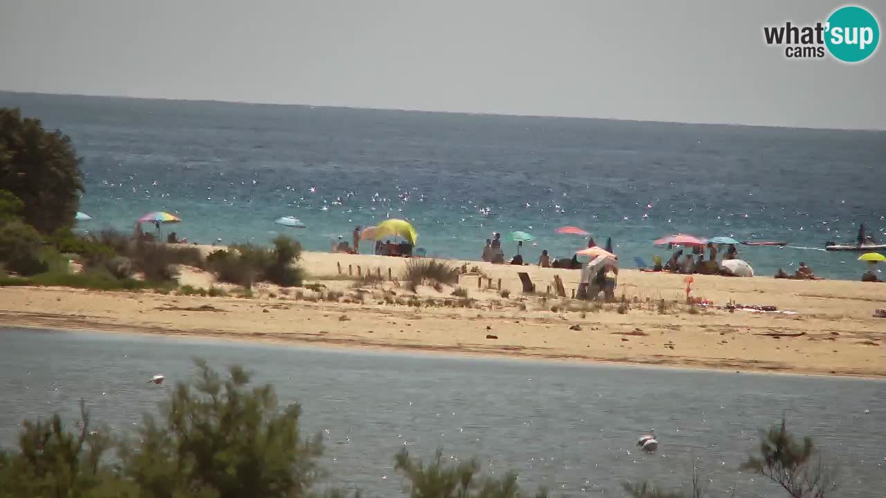 Spletna kamera Chia – Pogled v živo na plažo Su Giudeu