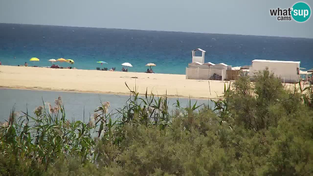 Webcam Chia – Live View of Su Giudeu Beach
