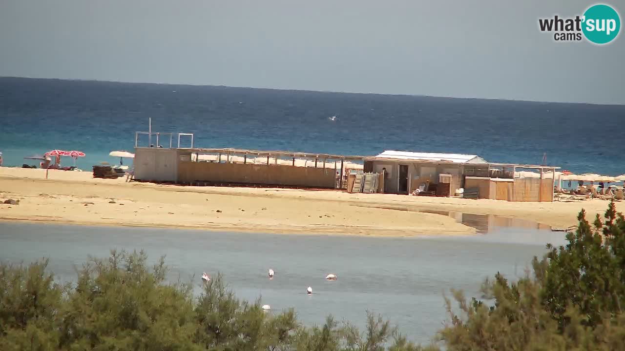 Webcam Chia – Live View of Su Giudeu Beach