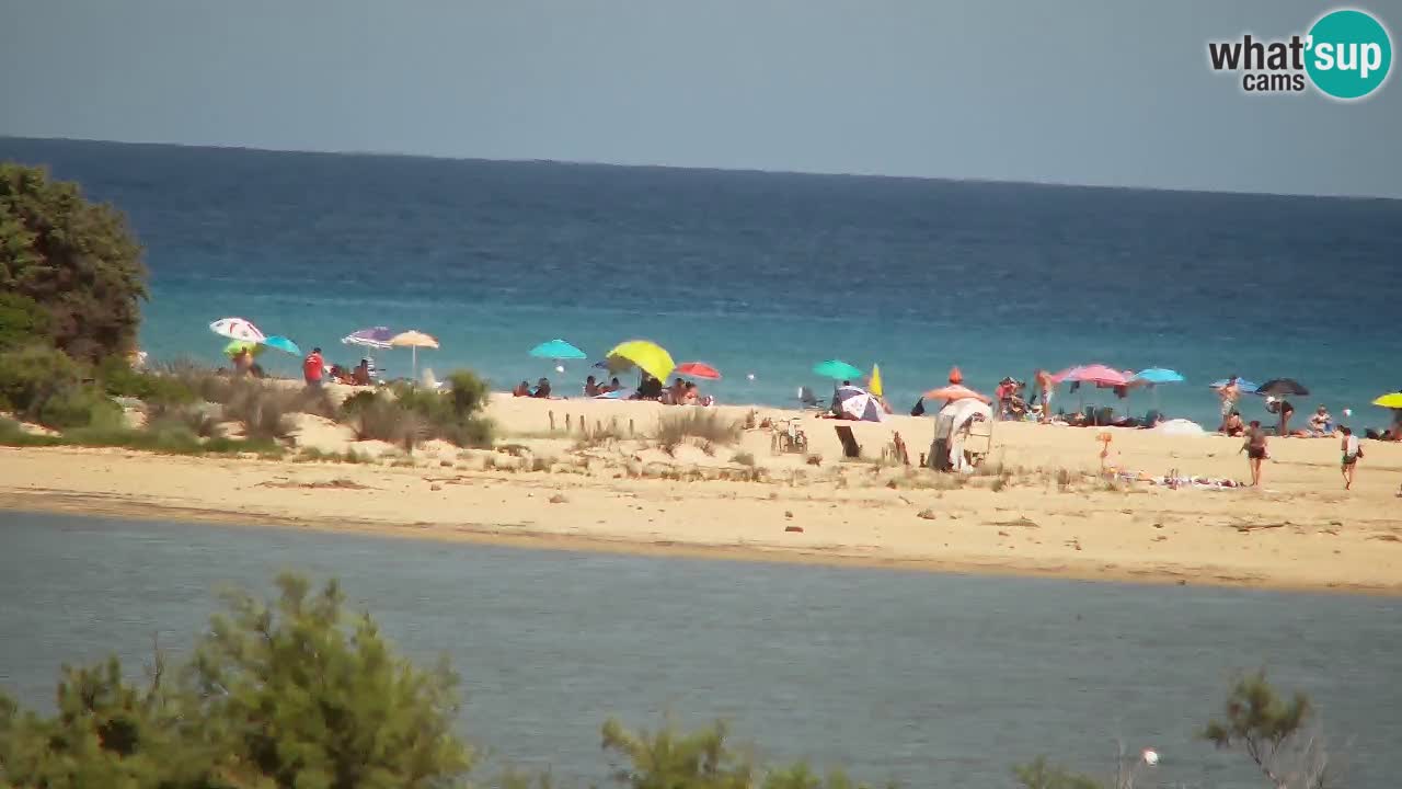 Webcam Chia – Live View of Su Giudeu Beach