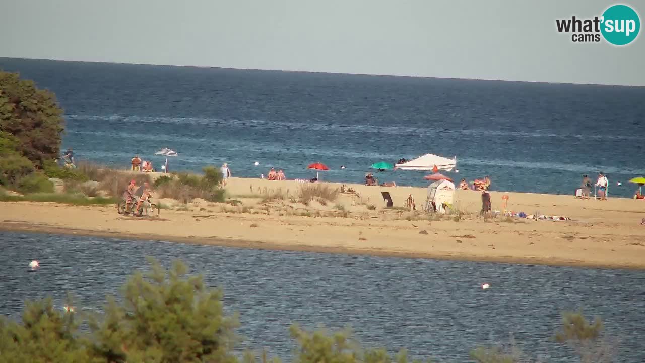 Webcam Chia – Live View of Su Giudeu Beach