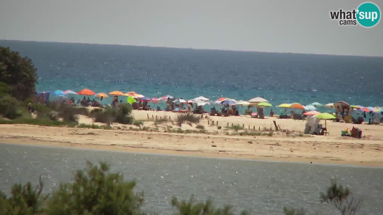 Webcam Chia – Live View of Su Giudeu Beach