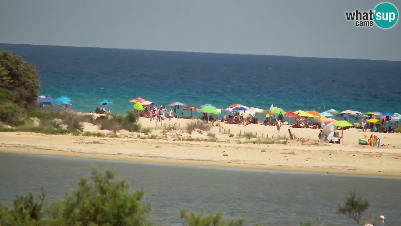 Webcam Chia – Live View of Su Giudeu Beach