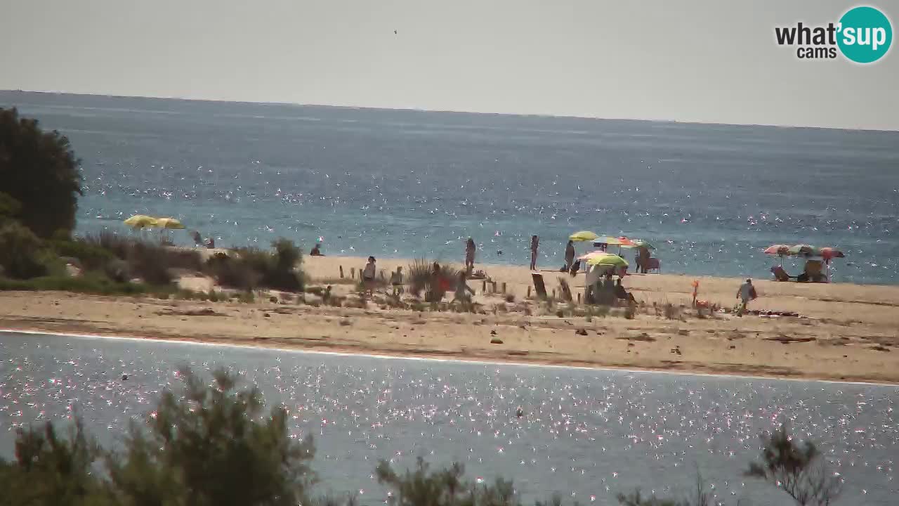 Webcam Chia – Live View of Su Giudeu Beach