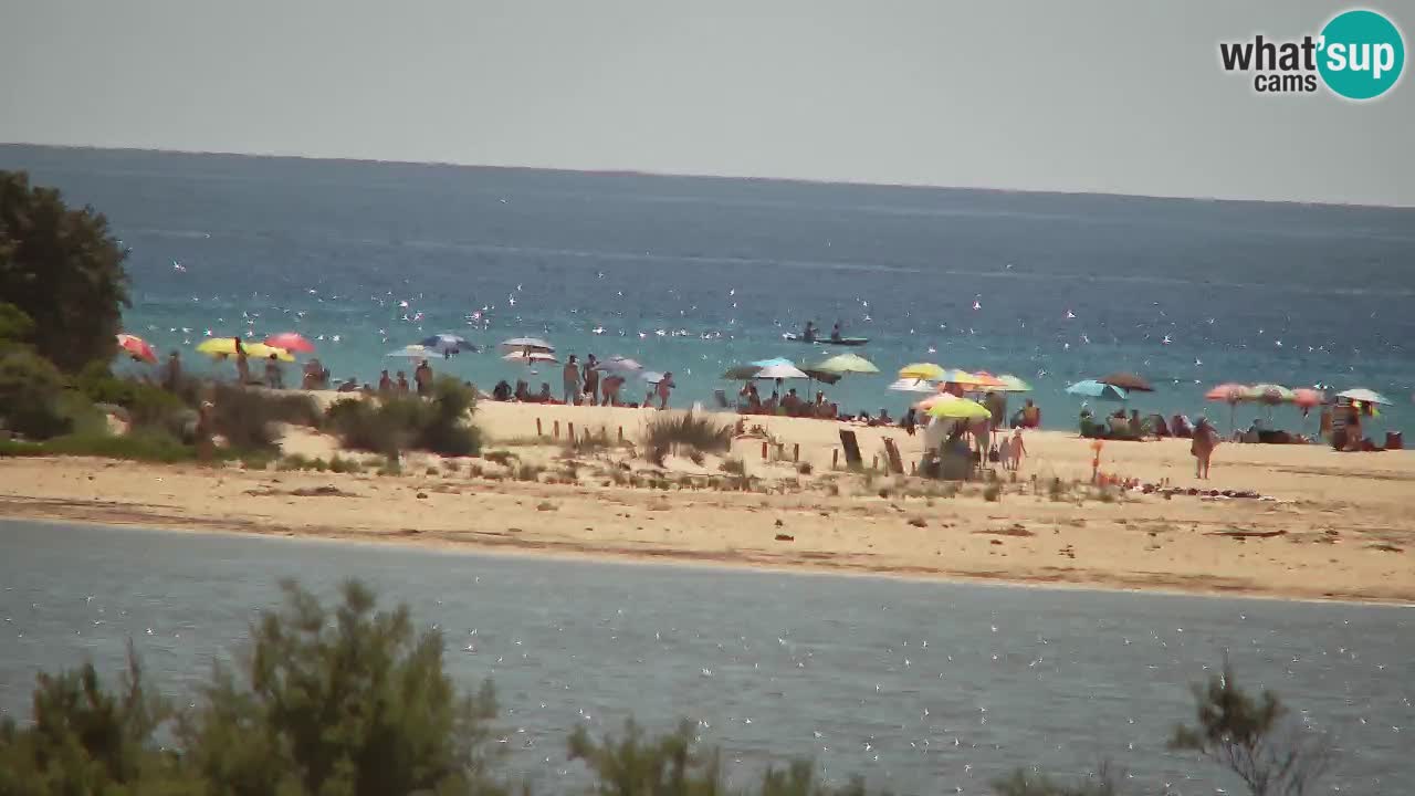 Webcam Chia – Vista en directo de la playa Su Giudeu