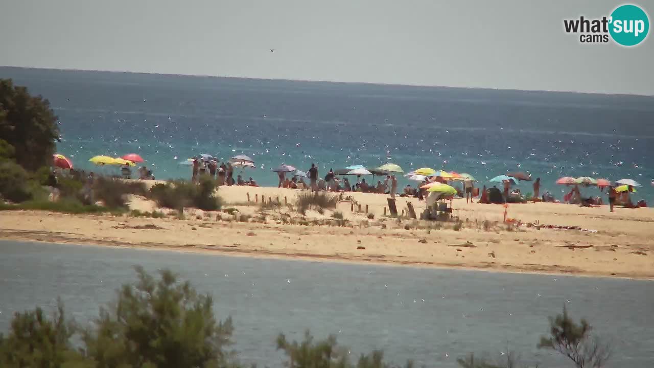 Webcam Chia – Vista en directo de la playa Su Giudeu