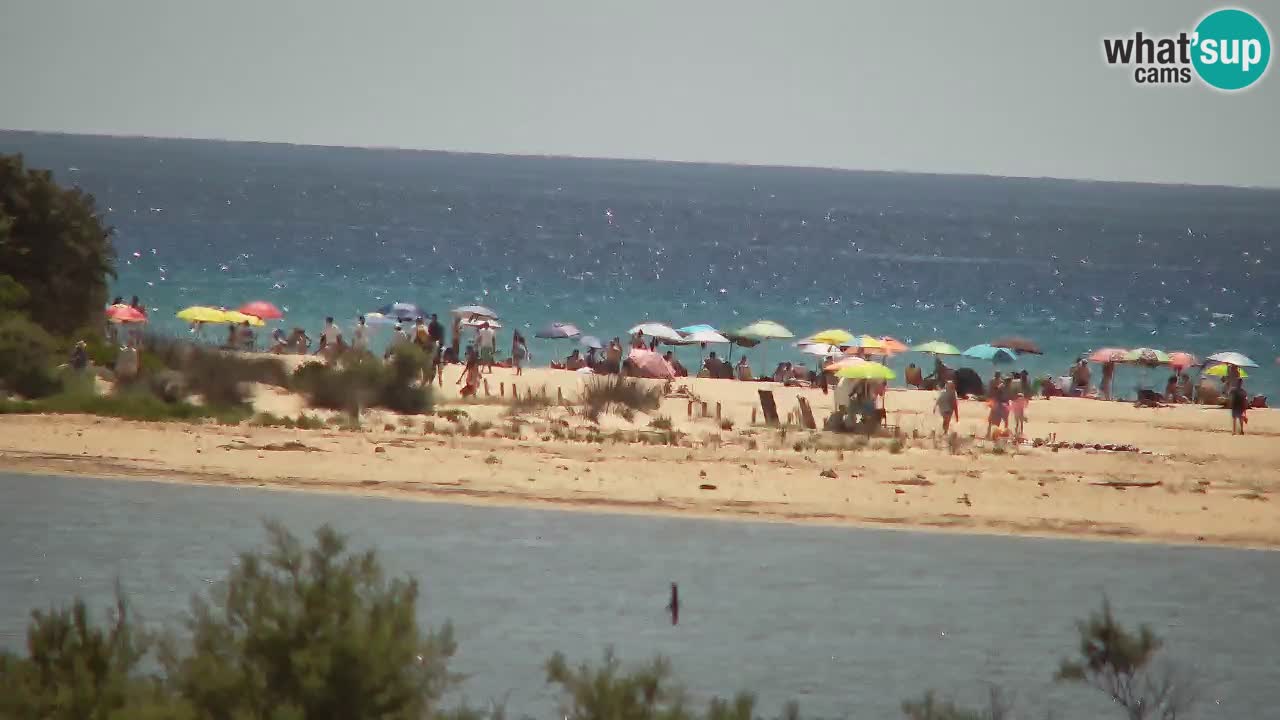 Webcam Chia – Live View of Su Giudeu Beach