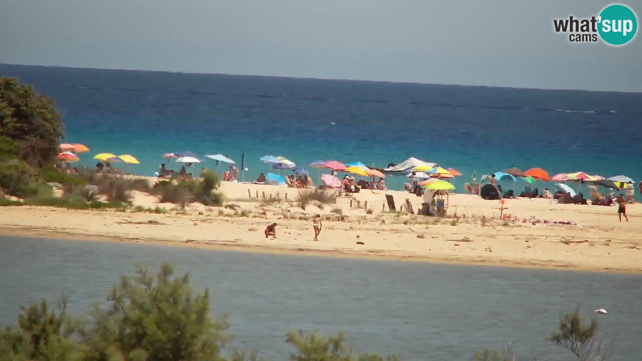 Webcam Chia – Live View of Su Giudeu Beach