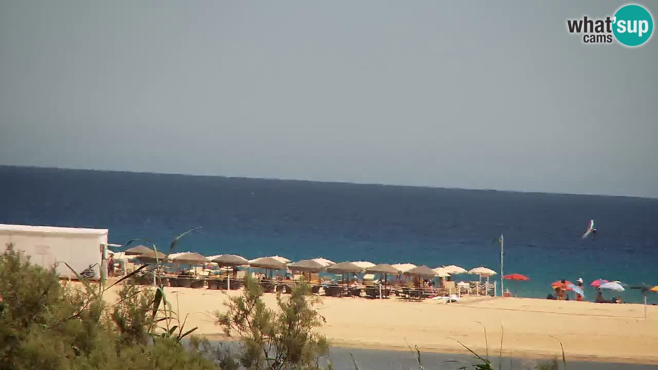 Webcam Chia – Live View of Su Giudeu Beach