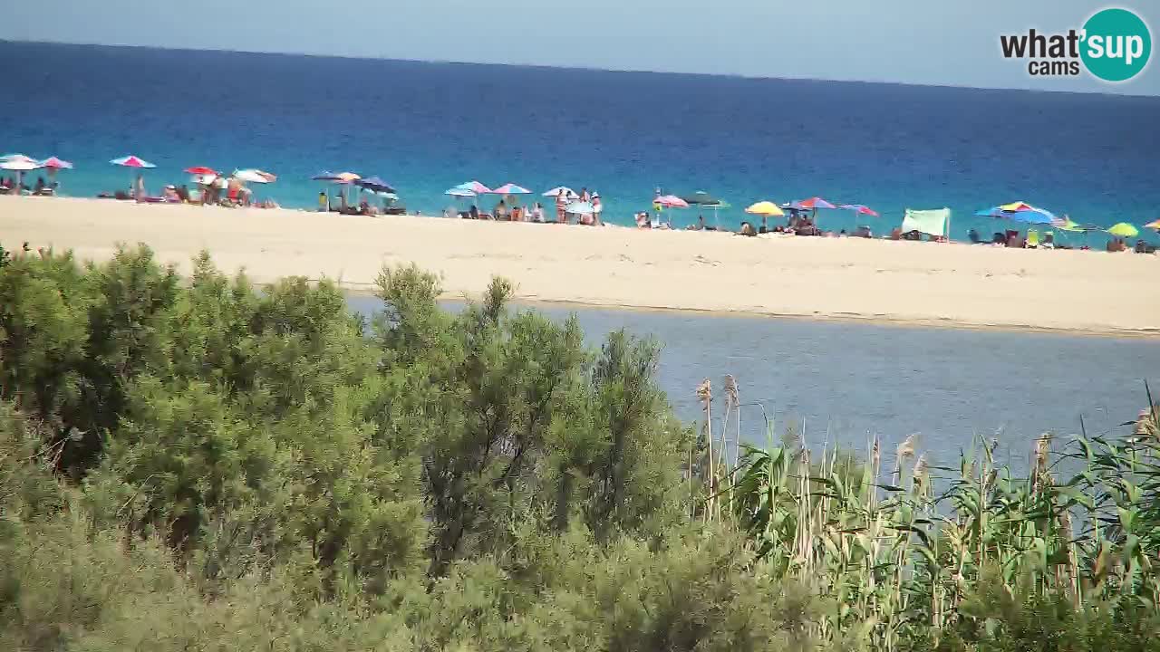 Webcam Chia – Live View of Su Giudeu Beach