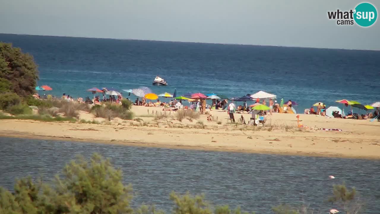 Webcam Chia – Vista en directo de la playa Su Giudeu
